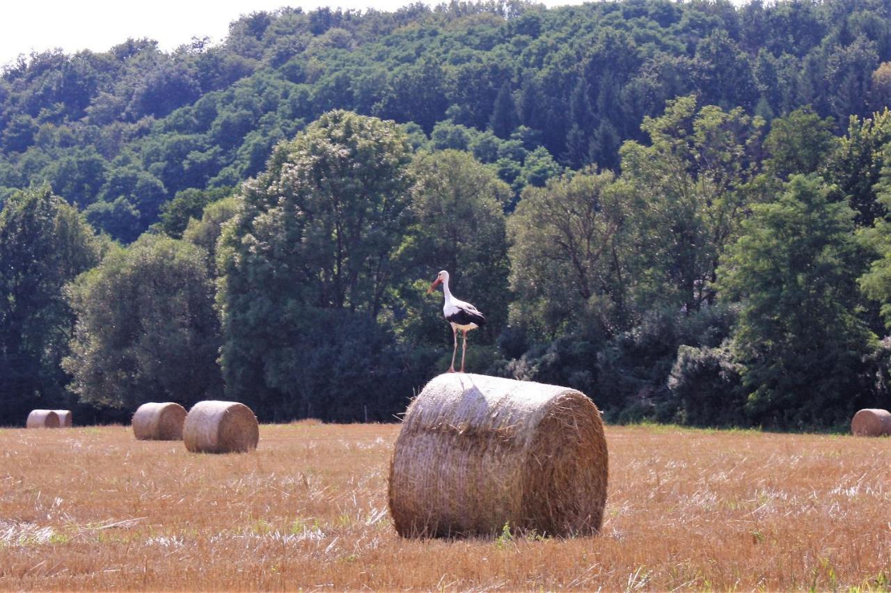 Naturpark Vendeghaz Alsoszolnok Luaran gambar